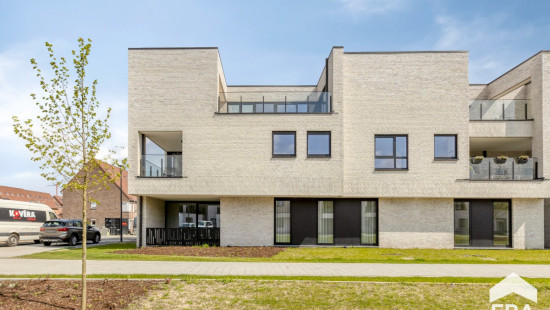 Hezerpad - zn - - B1.13 - 3920