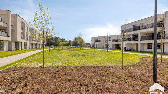 Hezerpad - zn - - B1.13 - 3920