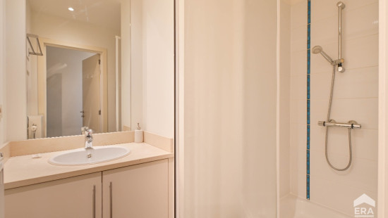 Chaussée de Charleroi - 146 - 3 - 1060