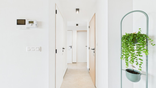 Rue du Vivier - 16 - A11 - 6900