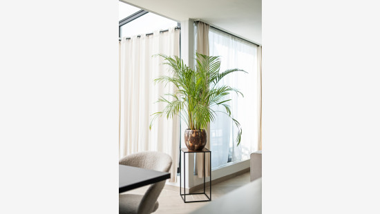 Ertbrandstraat - 197 - 0001 - 2950