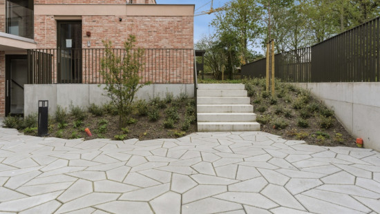 Jaagpad - 6 - 0003 - 6/0003 - 8630