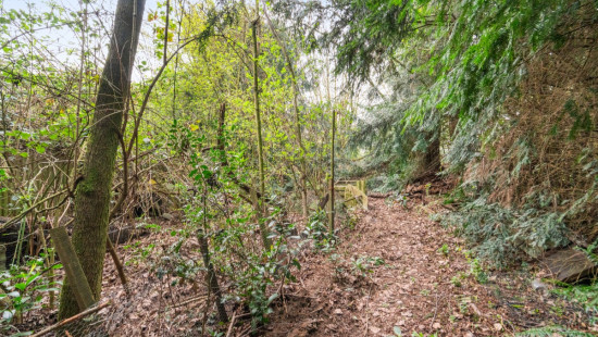 Breemstraat - 56 - - 9255