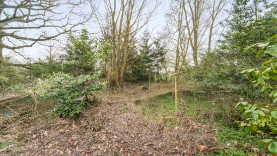 Breemstraat - 56 - - 9255