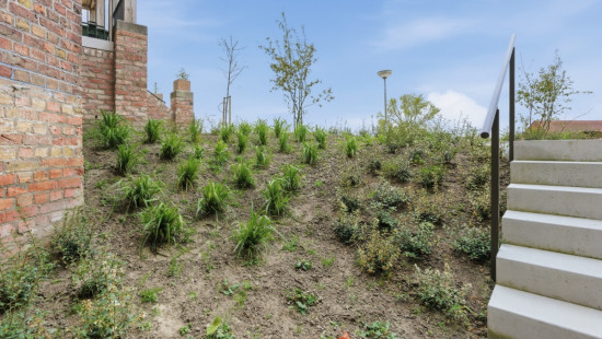 Jaagpad - 6 - 0003 - 6/0003 - 8630