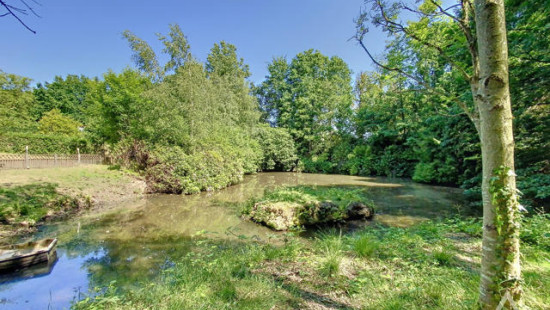 Diesbeekstraat - 55 - - 1650