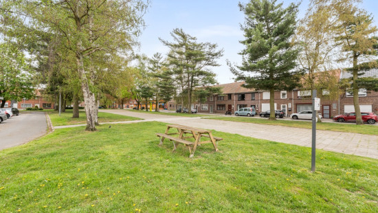 Dokter De Witteplein - 4 - - 9200