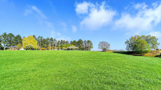 L. Kriegelstraat - 11 - - 3040