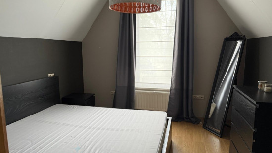 Volmolenstraat - 54 - - 3910