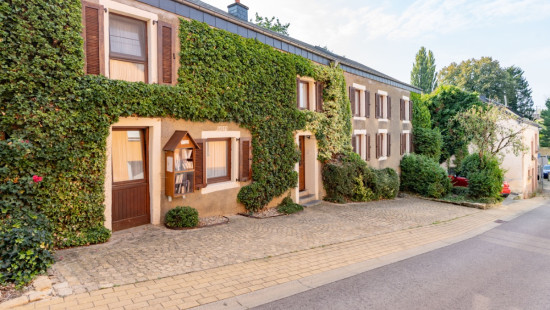 Rue Saint-Denis - 4 - - 6700