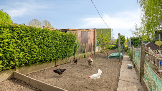 Prattenborgstraat - 29 - - 3270