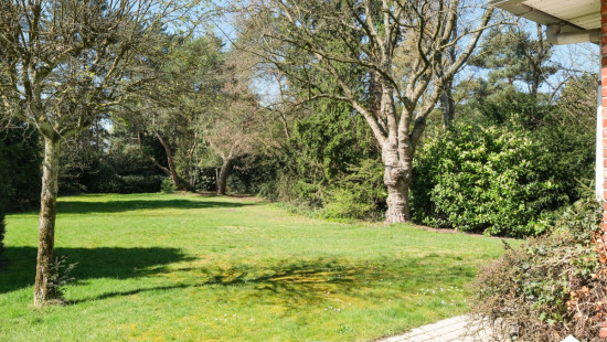 Tennislaan - 14 - - 3900