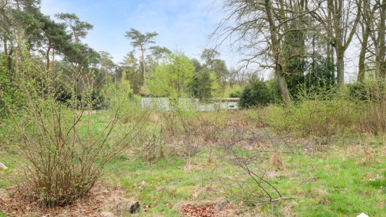 Bosstraat - 8 - - 3941