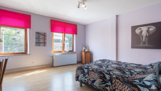 rue Delvigne - 2 - - 6900