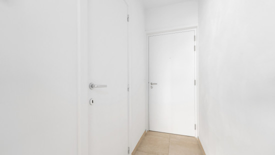 Desguinlei - 86 - 1004 - 2018