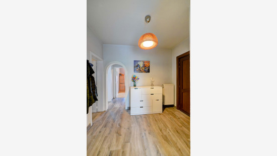 Clement Vanophemstraat - 138 - - 3090