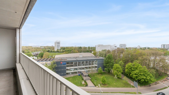 Desguinlei - 86 - 1004 - 2018