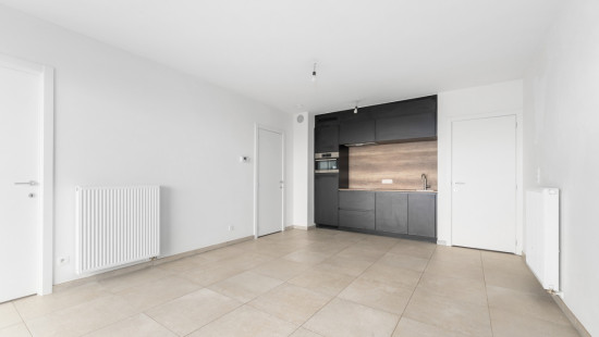 Desguinlei - 86 - 1004 - 2018