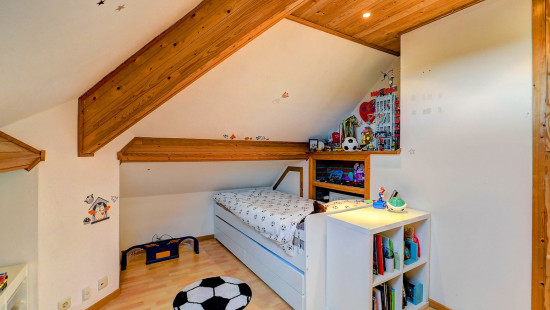 Clement Vanophemstraat - 138 - - 3090