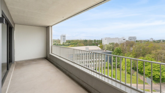 Desguinlei - 86 - 1004 - 2018