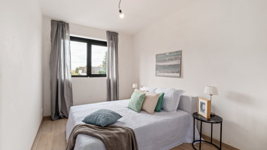 Sint-Amandsstraat - 228 - - 1853