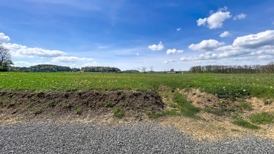 Le Grand Marlet - 13 - 7/1 - 6780