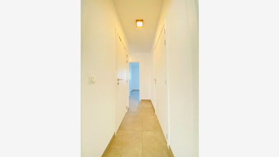 Beselarestraat - 247 - 0101 - 8980