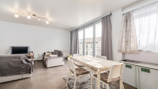 Rinkhout - 97 - - 9240