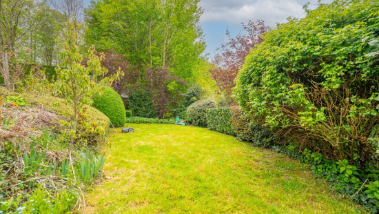 Rue des Chardonnerets - 3 - - 5004