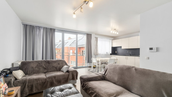 Rinkhout - 97 - - 9240