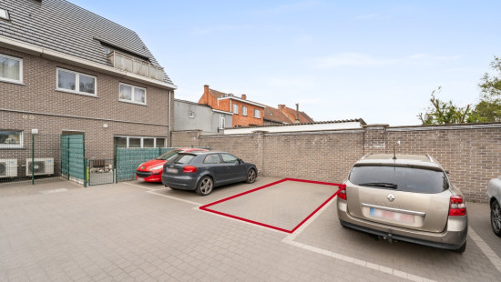 Rinkhout - 97 - - 9240