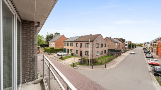 Rinkhout - 97 - - 9240