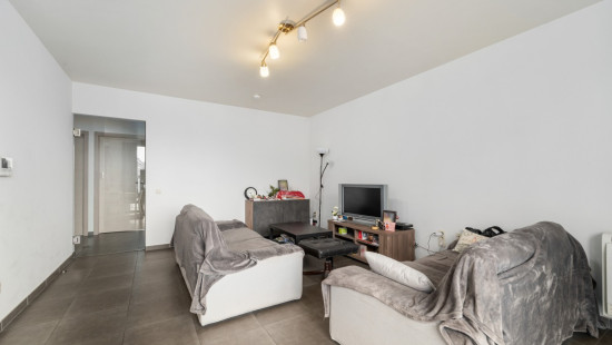 Rinkhout - 97 - - 9240