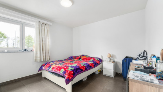 Rinkhout - 97 - - 9240