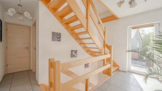 Baya - 11 - D - 5350