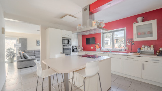 Baya - 11 - D - 5350