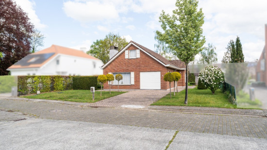 Vinkenstraat - 6 - - 9950