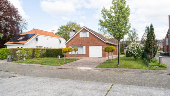 Vinkenstraat - 6 - - 9950