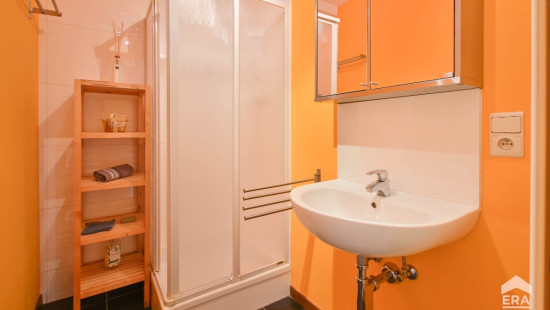 Rue Fétis - 25 - - 1040