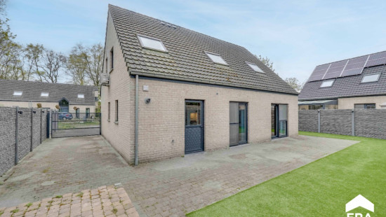 Boekweitveld - 17 - - 3990