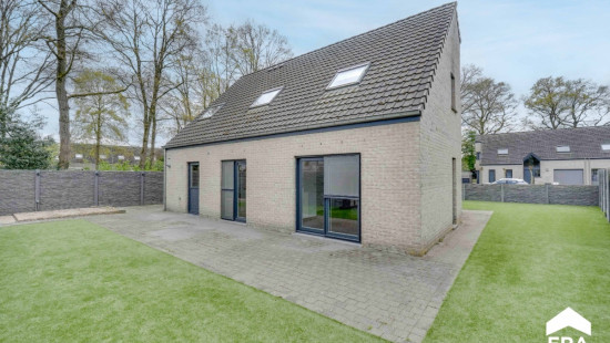 Boekweitveld - 17 - - 3990