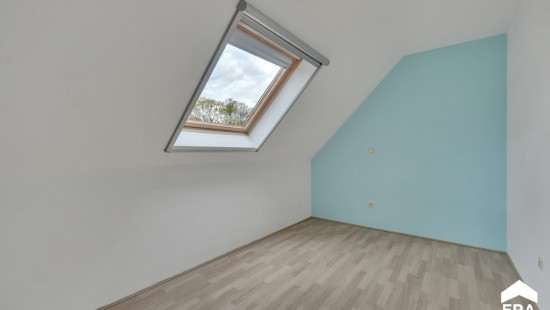 Boekweitveld - 17 - - 3990