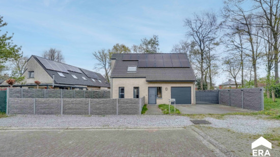 Boekweitveld - 17 - - 3990