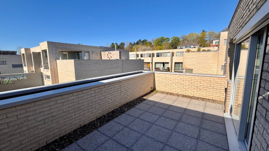 Cardenberch - 24 - - 3000