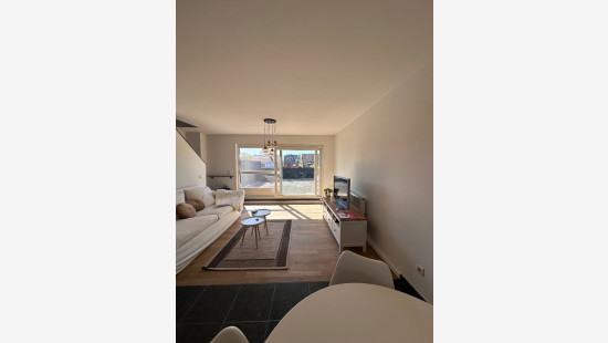 Stevensvennen - 29 - C - 3920