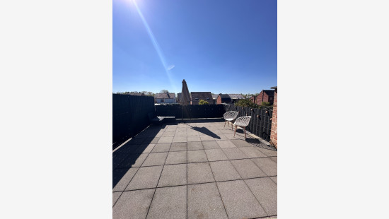 Stevensvennen - 29 - C - 3920