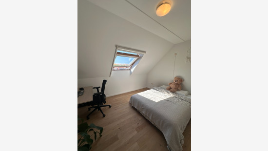 Stevensvennen - 29 - C - 3920