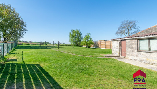 Zuurbemde - 98 - - 3380