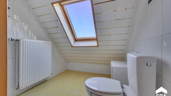 Kleine Hellekensstraat - 49 - - 3520
