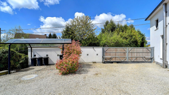 Hengstenberg - 20 - - 3090